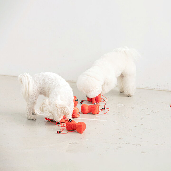 楽天市場 Bite Me Hbd 被れるリボントイ 犬用おもちゃ 犬のおもちゃ 人気 リボン 誕生日 プレゼント 音 ピーピー 小型犬 中型犬 人気 韓国 海外 犬 おもちゃ かわいい バイトミー Best Friends ベストフレンズ