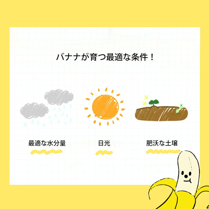 楽天市場 Bite Me バイトミー メリーズバナナノーズワークトイ 犬 おもちゃ 犬用おもちゃ 犬のおもちゃ インフルエンサー コラボ アイテム ノーズワーク 玩具 知育トイ かわいい おやつ 音 人気 韓国 海外ブランド 犬の服 ドッグウェア ベストフレンズ Best