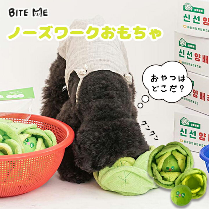楽天市場 Bite Me キャベツのノーズワークトイ 犬用おもちゃ 犬のおもちゃ 玩具 ぬいぐるみ ノーズワーク 分割 食べ物 知育トイ 遊び 音 小型犬 人気 韓国 海外 犬 おもちゃ かわいい バイトミー Best Friends ベストフレンズ