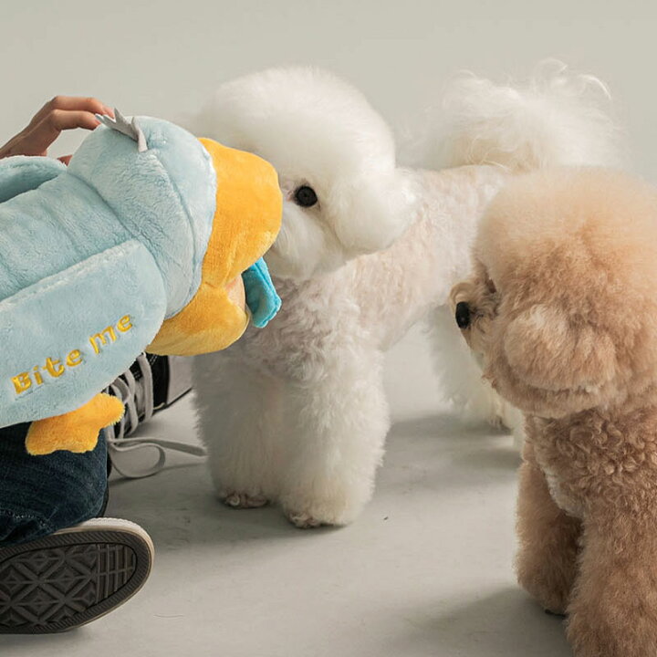 楽天市場 Bite Me アニマルグローブトイ 犬用おもちゃ 犬のおもちゃ 引張り 噛む 遊び 手 ミトン 人気 ぬいぐるみ 遊び 音 小型犬 人気 韓国 海外 犬 おもちゃ かわいい バイトミー Best Friends ベストフレンズ
