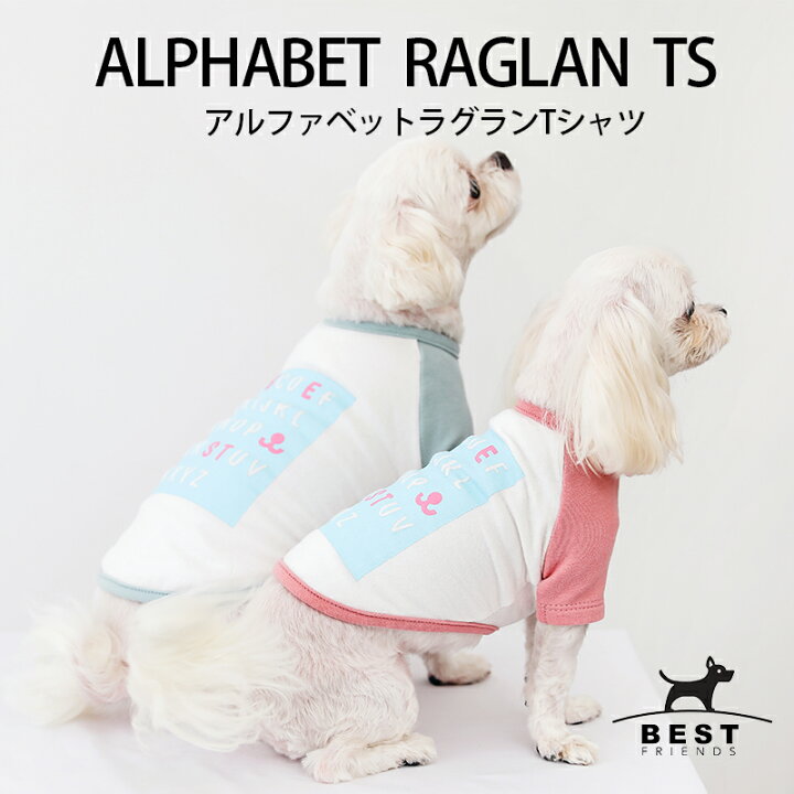 楽天市場 アルファベットラグランtシャツ S M L Xl Xxl 犬 服 犬の服 ドッグウェア ベストフレンズ Tシャツ 秋 冬 おしゃれ かわいい パステル コットン 綿100 プリント Best Friends ベストフレンズ
