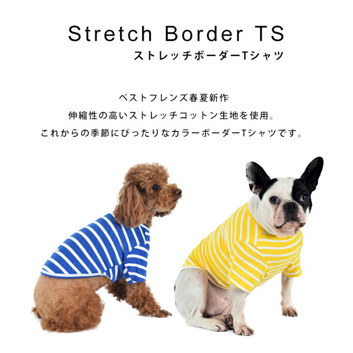 楽天市場 ストレッチボーダーtシャツ S M L Xl 犬服 犬 服 春 夏 秋 冬 かわいい Tシャツ ボーダー 薄手 コットン 綿 生地 伸縮 伸びる シンプル 部屋着にも最適 小型犬 犬の服 ドッグウェア ベストフレンズ Best Friends ベストフレンズ