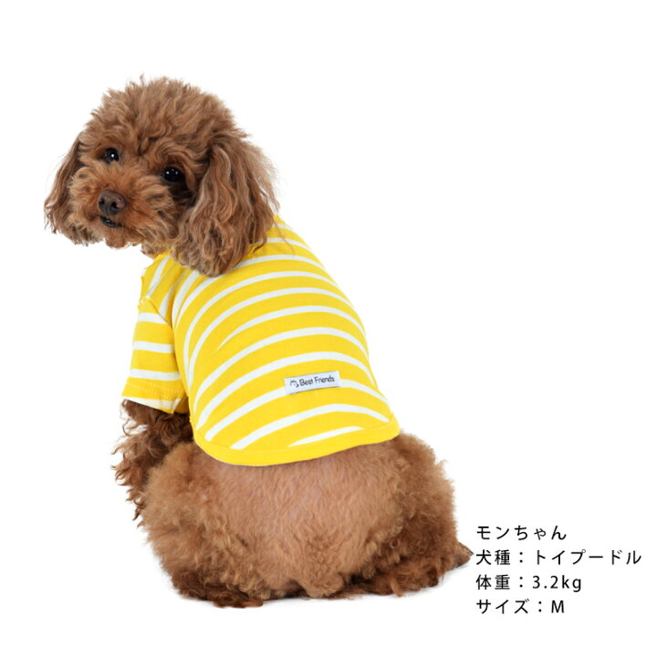 楽天市場】ストレッチボーダーTシャツ S / M / L / XL【犬 服 ドッグウェア 犬服 犬の服 ベストフレンズ】【春 夏 秋 冬 かわいい おしゃれ Tシャツ ボーダー 薄手 コットン 綿 生地 伸縮 伸びる シンプル 部屋着にも最適 小型犬】 : Best Friends/ベストフレンズ 楽天市場】ストレッチボーダーTシャツ S / M / L / XL【犬 服 ドッグウェア 犬服 犬の服 ベストフレンズ】【春 夏 秋 冬 かわいい おしゃれ Tシャツ ボーダー 薄手 コットン 綿 生地 伸縮 伸びる シンプル 部屋着にも最適 小型犬】 : Best Friends/ベストフレンズ