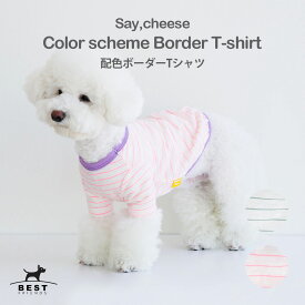 Say Cheese 配色ボーダーTシャツ S M L XL【薄手 ポケット ボーダー 薄手 Tシャツ 伸縮 シンプル かわいい おしゃれ 人気 男の子 女の子】【犬服 犬 服 犬の服 春 夏 ドッグウェア ベストフレンズ】