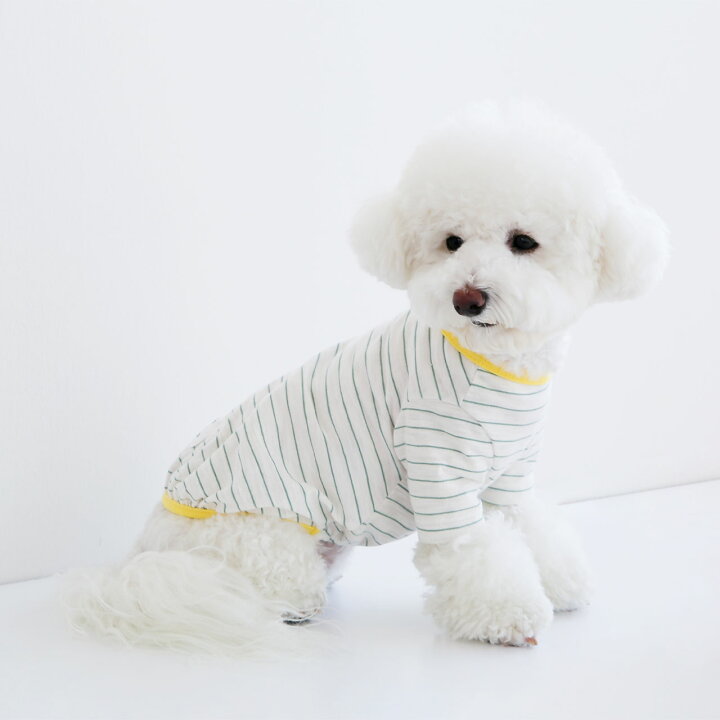 楽天市場】Say Cheese 配色ボーダーTシャツ / S,M,L,XL【犬 服 春 薄手 ポケット ボーダー 薄手 Tシャツ 伸縮 おしゃれ シンプル かわいい 人気 男の子 女の子】【犬の服 ドッグウェア ベストフレンズ】 : Best Friends/ベストフレンズ 楽天市場】Say Cheese 配色ボーダーTシャツ / S,M,L,XL【犬 服 春 薄手 ポケット ボーダー 薄手 Tシャツ 伸縮 おしゃれ シンプル かわいい 人気 男の子 女の子】【犬の服 ドッグウェア ベストフレンズ】 : Best Friends/ベストフレンズ