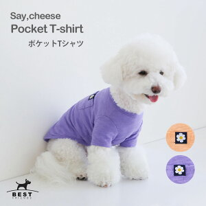 _100~OFFN[|L^Say Cheese |PbgTVc S M L XLy |Pbg   TVc Lk  Vv 킢 lC j̎q ̎q t[zy   ̕ t  hbOEF