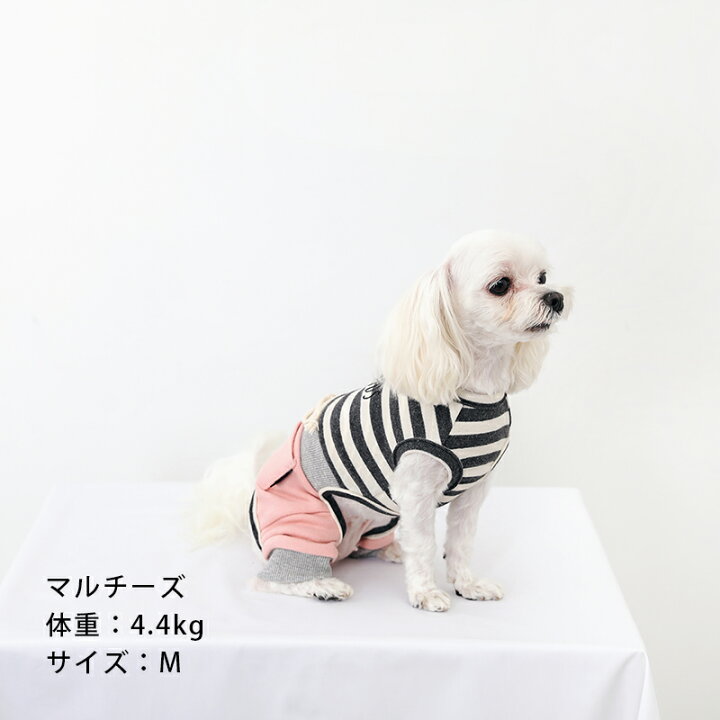 楽天市場】【スーパーSALE】スリーブレスボーダーロンパース S / M / L / XL / XXL 全2色【犬 服 ドッグウェア 犬服 犬の服 ベストフレンズ】【ロンパース かわいい おしゃれ 秋 冬 ロールアップ 刺繍 パステル 抜け毛対策 小型犬 カバーオール つなぎ】 : Best Friends ... 楽天市場】【スーパーSALE】スリーブレスボーダーロンパース S / M / L / XL / XXL 全2色【犬 服 ドッグウェア 犬服 犬の服 ベストフレンズ】【ロンパース かわいい おしゃれ 秋 冬 ロールアップ 刺繍 パステル 抜け毛対策 小型犬 カバーオール つなぎ】 : Best Friends ...