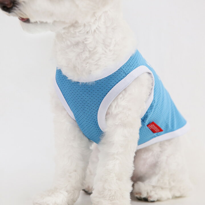 楽天市場 タイムセール Disney ディズニー 101匹わんちゃん メッシュタンク S M L Xl 犬 服 ドッグウェア 犬服 犬の服 ベストフレンズ 夏 かわいい おしゃれ クール ドットプリント キャラクター 涼しい 夏用 小型犬 小型犬 Best Friends ベスト