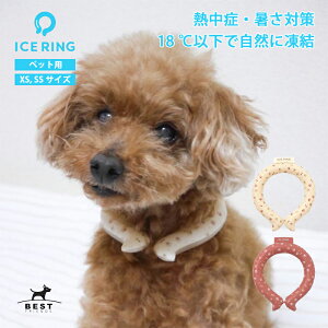 _N[|ōő500~OFF^y[֑zICE RING ACXO ybgp XS SSTCYy SUO XI N[O ybgp lbNN[[   p ⊴ ObY y JԂ MǑ