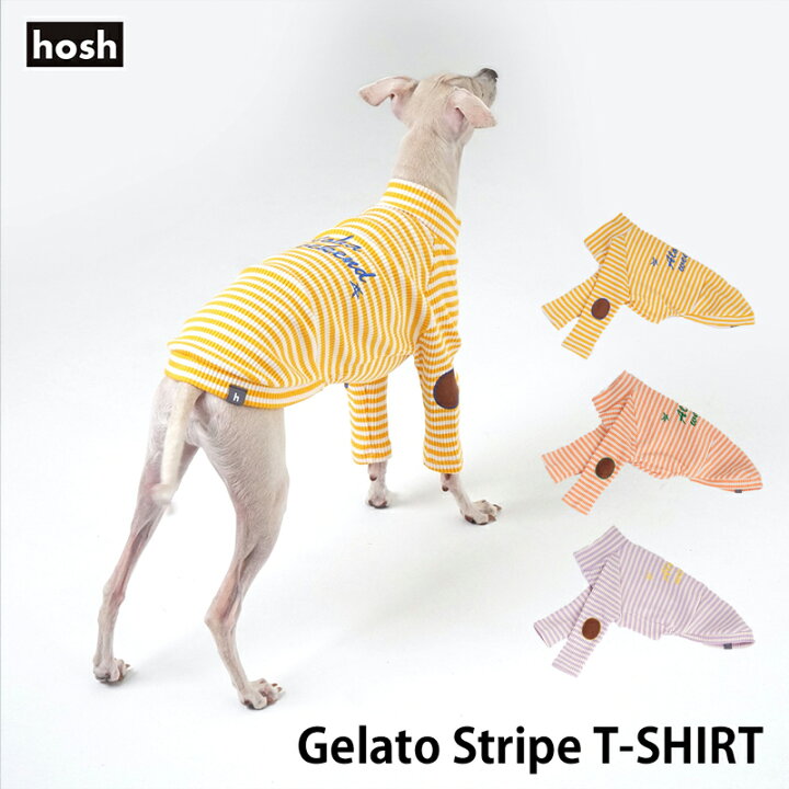 楽天市場】＼クーポンで最大500円OFF／イタグレ専用【hosh】ジェラート 