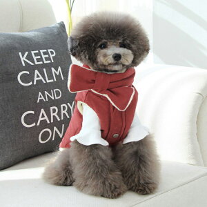 _N[|ōő500~OFF^y  H~zyTOTO&ROYz zF}t[ _ESET 2Color / S M L XLy  _E ̕ hbOEFA ^ gCv[h  킢 hbO AE^[ h 