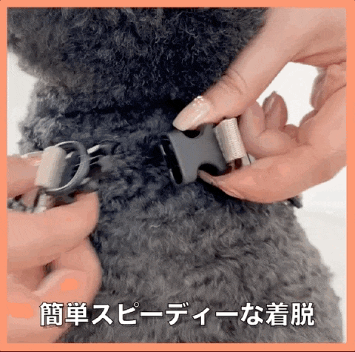 リーナちゃん専用 リーナちゃんシリーズ｜ランチグッズ特集｜ミキハウス楽天市場店