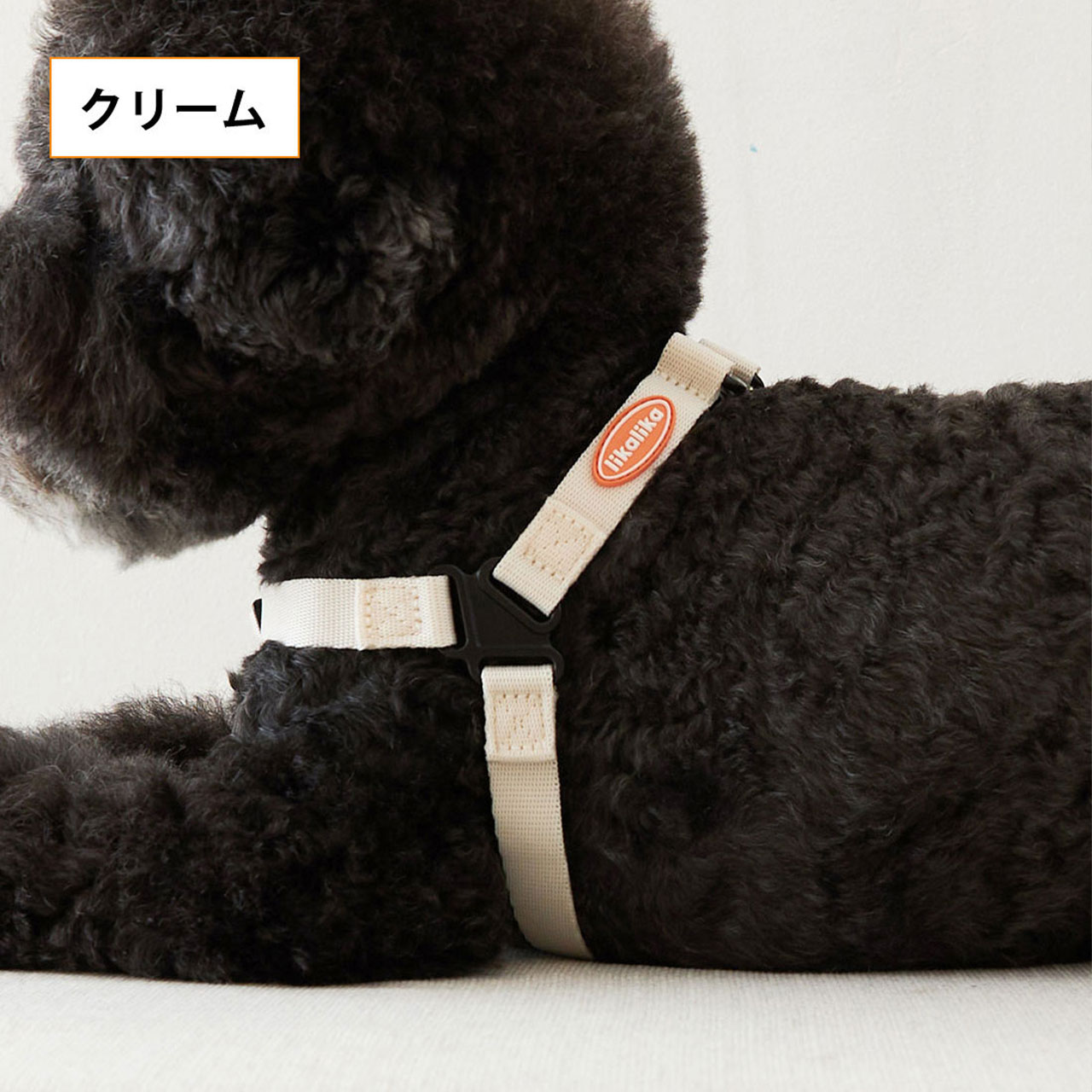 超格安価格 M L ポップハーネス 愛犬へのプレゼントに 韓国で大人気のペットアイテムブランド ロープ