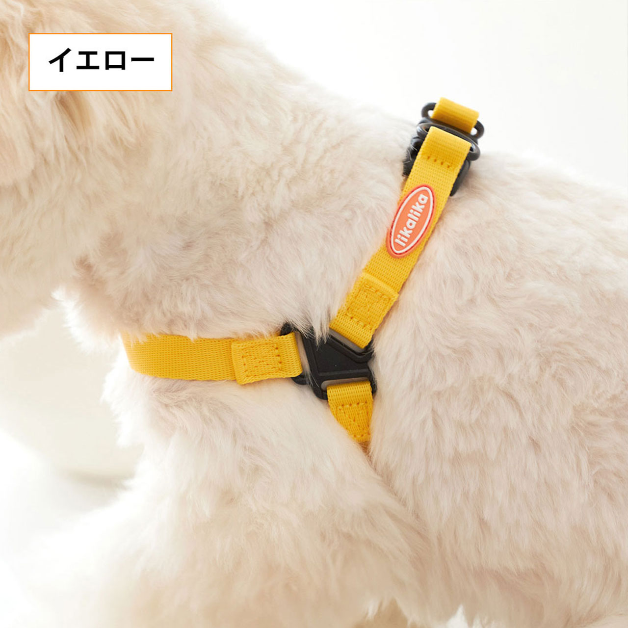 超格安価格 M L ポップハーネス 愛犬へのプレゼントに 韓国で大人気のペットアイテムブランド ロープ