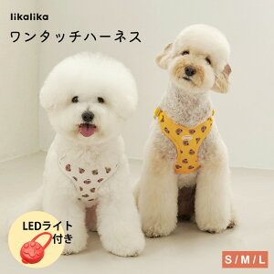 LEDv[gylikalika / JJz ^b`n[lX S M L n[lX  Ȃ ^ p   ȒP  y uh S  Ȃ n[lX ɂ ybg  
