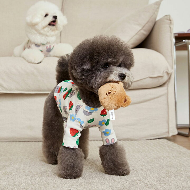 楽天市場 Likalika リカリカ アニマルフェイストイ 犬 おもちゃ 犬用おもちゃ 犬のおもちゃ 人気 かわいい 玩具 ぬいぐるみ 遊び 音 小型犬 人気 韓国 海外 Best Friends ベストフレンズ
