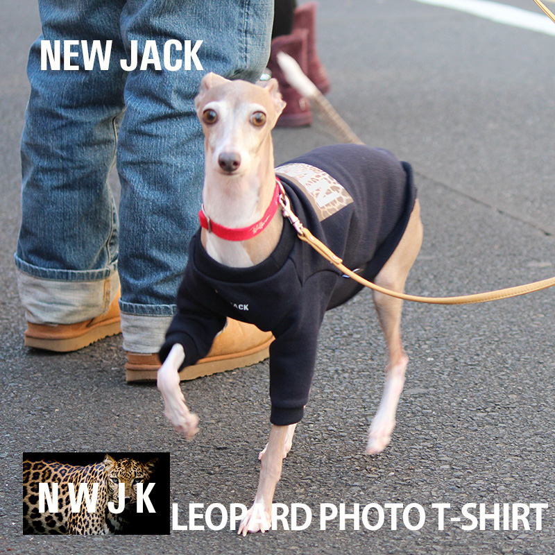 NEW JACK ニュージャック レオパードTシャツ S M L 安心の実績 高価 買取 国内正規品 強化中 XL XXL 犬 服 反射 ベストフレンズ 小型犬 夜間 おしゃれ ブランド ストリート プリント かっこいい ドッグウェア 犬の服