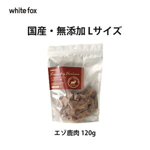 _N[|ōő500~OFF^ywhite fox zCgtHbNXz {ނ˓ { G] t[YhC H  ͂ gbsO VjA H׃ Y Y  V  