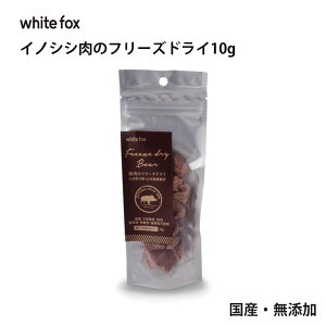 _100~OFFN[|L^ywhite fox zCgtHbNXz̃t[YhC H  ͂ gbsO VjA H׃ Y Y  V S H  hbOt[h t