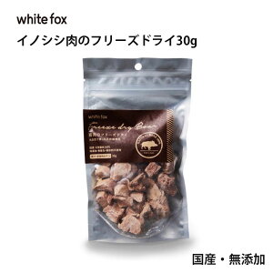 ywhite fox zCgtHbNXz̃t[YhC H  ͂ gbsO VjA H׃ Y Y  V S H  hbOt[h t[h a H Lbg