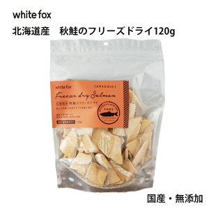 _100~OFFN[|L^ywhite fox zCgtHbNXzkCY H̃t[YhC XCXJbg H  ͂ gbsO VjA H׃ Y Y  V S H