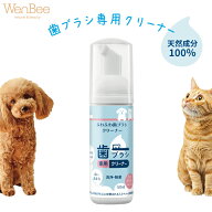 【ペット用】ふわふわ歯ブラシクリーナー 50ml｜天然成分・泡切れ◎ 歯ブラシのぬめりスッキリ！