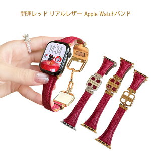 Apple watch S11 �o���h �{�v ���U�[ �� BB�o�b�N�� �}�O�l�b�g ������ ������� ���f�B�[�X �����Y 38mm 40mm 41mm 42mm 44mm 45mm 46mm 49mm �Ή� Ultra SE S1 S2 S3 S4 S5 S6 S7 S8 S9 S10 S11 �r�W�l�X �J�W���A�� �J�^ 