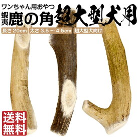 【超大型犬用】 犬 鹿の角 鹿角 蝦夷鹿 おもちゃ 北海道産 角 ガム エゾ鹿 無添加 蝦夷鹿 デンタルケア 口臭予防 ドッグフード