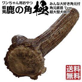 【超大型犬用：極サイズ】 犬 鹿の角 鹿角 ドッグフード 蝦夷鹿 おもちゃ 北海道産 角 ガム エゾ鹿 無添加 蝦夷鹿 デンタルケア 口臭予防