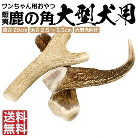 【大型犬用】 犬 鹿の角 鹿角 蝦夷鹿 おもちゃ 北海道産 角 ガム エゾ鹿 無添加 蝦夷鹿 デンタルケア 口臭予防 ドッグフード