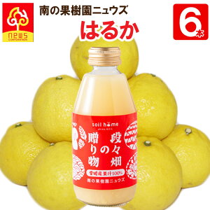 rW[X͂邩200ml×6{) QYʏ`100Y soil home 炲Ɗۍ iX̑蕨 ͂邩 fRʂ ^S[ B݂ jEY VfUC Mtg