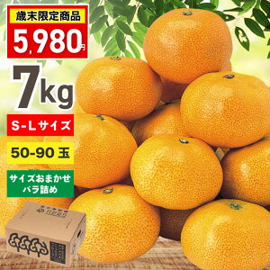 Q ݂FB݂s7kg/M or L /50`75/oltyAނ₷AHׂ₷AĔԂ݂{݂̂ōK͂I݂90N̓̉ʎj