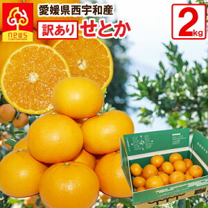 「みかん せとか 産地直送」の人気商品一覧 | 安い商品を通販サイトから探す - 価格.com