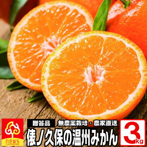 y͂wszQ ݂FUmv B݂s3kg/M or L/22`35/oltn̒łɓ̗ǂIсAnōō̂̂IČ萔ɂĂ͂܂