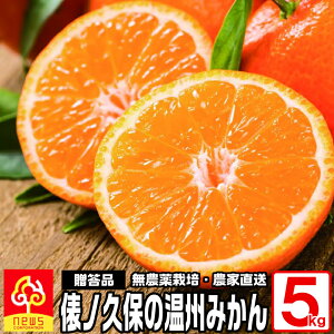 Q ݂ Umvۂ̉B݂s5kg/M or L/35`55/olt݂ ~J  Q݂ Q~J Ђ߂݂ Y ʕ ōv~A ݂ I x Q ʓ  