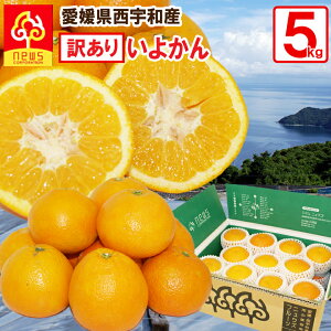 悩 󂠂 5kg Q  ~J ݂ O  Yn Q Yn k t[c Mtg Y QY QY ʎ Hi 񂹃O 񂫂 ʓ ʏ` 