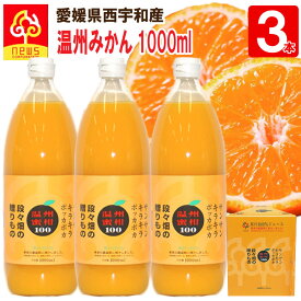 【送料無料】みかんジュース ストレート温州みかん 1000ml 3本 愛媛 国産 無添加 果汁100% みかん しぼり オレンジ 愛媛みかん 柑橘 南の果樹園ニュウズ ジュース 贈答用 無添加 結婚 内祝い お返し 出産内祝い お取り寄せ ジュース ギフト みかん ストレート