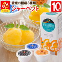 【送料無料】濃厚＆なめらか！みかん専門店のシャーベット詰め合わせ《115ml×10個》定番の温州ミカン、甘いのにさっぱりとした清見タンゴール、濃厚な味わいのデコしらぬいの3種 自社栽培の柑橘たっぷり！果汁60％使用したきめ細やかで濃厚な味わい。