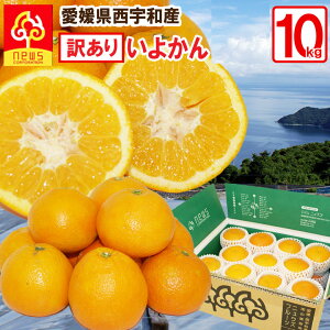 yz悩 󂠂 3kg Q  ~J ݂ O  Yn Q Yn k t[c Mtg Y QY QY ʎ Hi 񂹃O Q݂