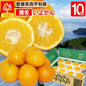 yz悩 p 10kg Q  ~J ݂ O  Yn Q Yn k t[c Mtg Y QY QY ʎ Hi 񂹃O 񂫂