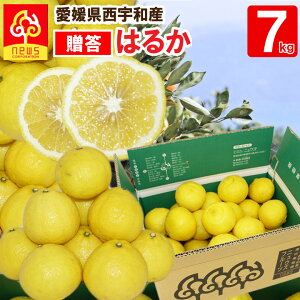 ͂邩 ݂ p 7kg Q  ~J ݂ O  Yn Q Yn k t[c Mtg Y QY QY ʎ Hi 񂹃O 񂫂 ʓ 