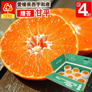 �Õ� �݂��� �����p ��4kg ���Q ���� �~�J�� �݂��� �O���� ������ �Y�n���� ���Q�� �Y�n���� ���k�� �t���[�c �M�t�g �Y�� ���Q�Y ���Q���Y �ʎ� �H�i �����񂹃O���� ���񂫂� �ʓ� ��