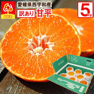 �Õ� �݂��� �󂠂� 5kg ���Q ���� �~�J�� �݂��� �O���� ������ �Y�n���� ���Q�� �Y�n���� ���k�� �t���[�c �M�t�g �Y�� ���Q�Y ���Q���Y �ʎ� �H�i �����񂹃O���� ���񂫂� �ʓ� �ʏ` 