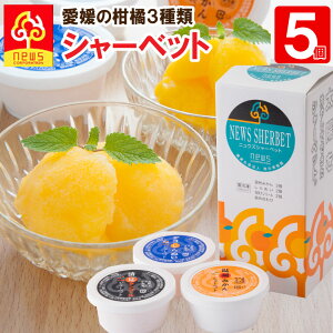 yzZȂ߂炩I݂X̃V[xbglߍ킹s115ml×5tԂ̉B~JAÂ̂ɂςƂ^S[AZȖ킢̃fRʂ3펩Ѝ͔|