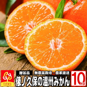 yIzUmv B݂ 10kgbYn݂̍bpEipEMtgɂœKȓI݂