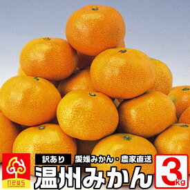 温州みかん 訳あり 3kg 愛媛 みかん 西宇和産 小玉 Sサイズ混合 家庭用 箱買い 産地直送 段々畑 送料500円 バラ詰め 自宅用