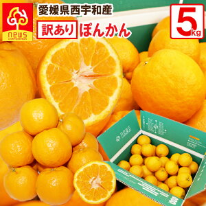 󂠂 QY ۂ񂩂 5kg Y Y ̉ʎ jEY/  n ۂ񂩂  ʕ t[c Yi Yi k k |J  | Bi B