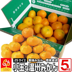 Q ݂ 2S ݂s5kg/2S/75`90/olt ݂ ~J mikan Q ݂ Â݂ ݂ ݂ x Q݂ Yn k ʕ  t[c ƒp B B~J