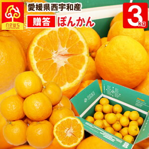 QY ۂ񂩂 3kg Y Y ̉ʎ jEY/  n ۂ񂩂  ʕ t[c Yi Yi k k |J  |