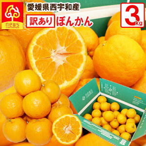 󂠂 QY ۂ񂩂 3kg Y Y ̉ʎ jEY/  n ۂ񂩂  ʕ t[c Yi Yi k k |J  | Bi B